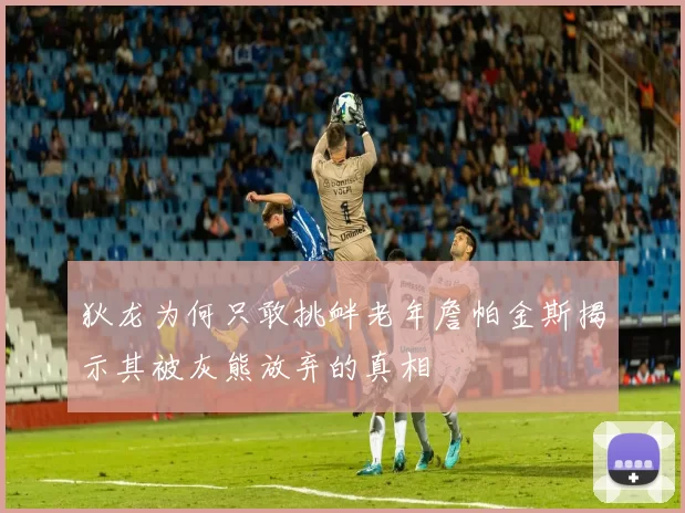 狄龙为何只敢挑衅老年詹帕金斯揭示其被灰熊放弃的真相