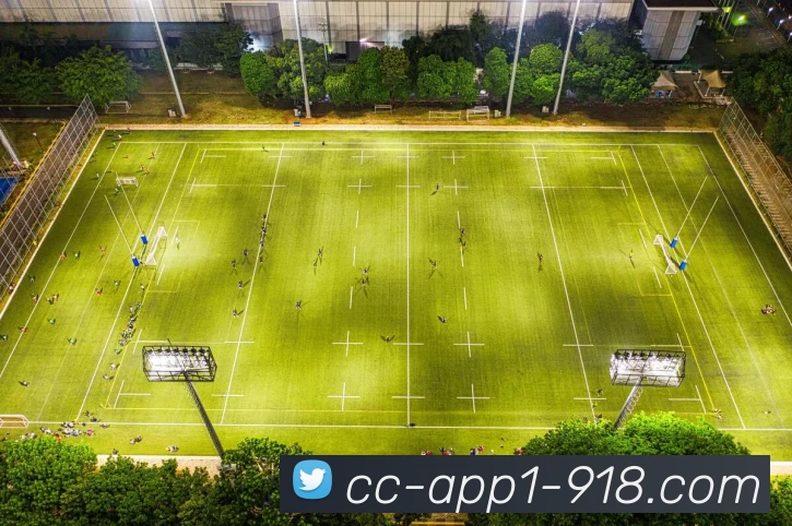 APP界面展示